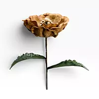 Vintage Earth Bloom