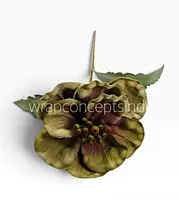 Vintage Earth Bloom