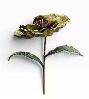 Vintage Earth Bloom
