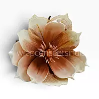 Ethereal Bloom Collection