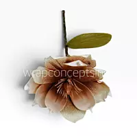 Ethereal Bloom Collection