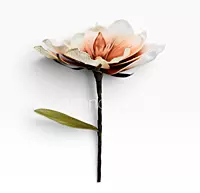 Ethereal Bloom Collection