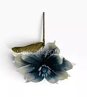 Ethereal Bloom Collection