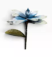 Ethereal Bloom Collection