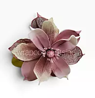 Ethereal Bloom Collection