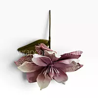 Ethereal Bloom Collection