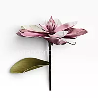 Ethereal Bloom Collection