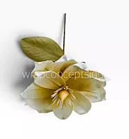 Ethereal Bloom Collection