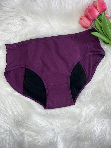 Reusable period Panty