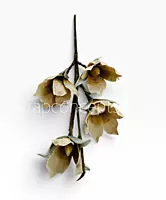 Rustic Jute Bloom Bunch