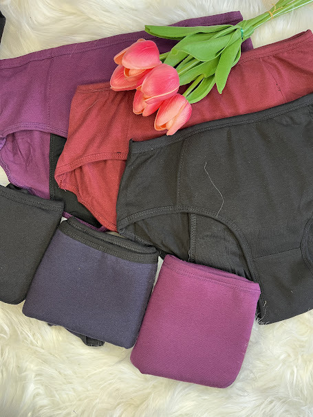 Reusable period Panty ( pack of 6 )