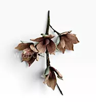 Rustic Jute Bloom Bunch