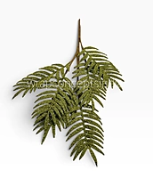 Frosted Pine Foliage