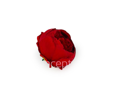 Peony - Red