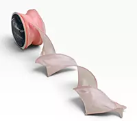 Sheer Elegance Organza Ribbon