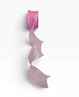 Sheer Elegance Organza Ribbon