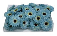 Cyan Gerberas