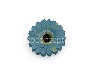 Cyan Gerberas