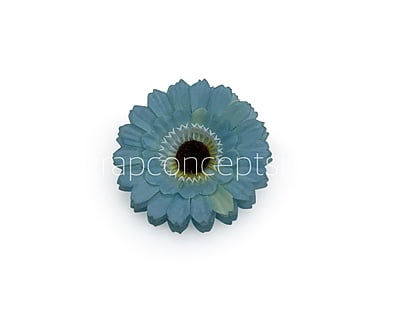 Cyan Gerberas