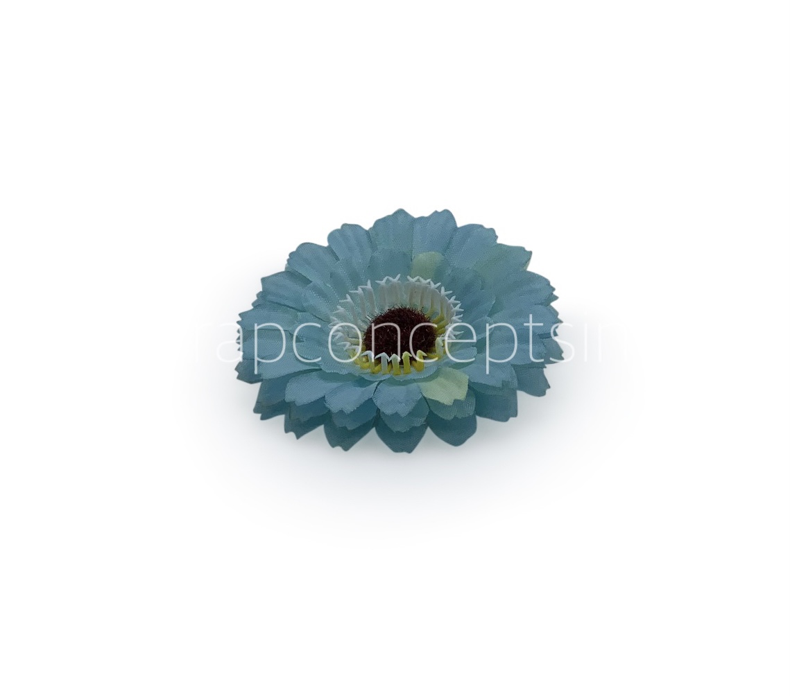 Cyan Gerberas