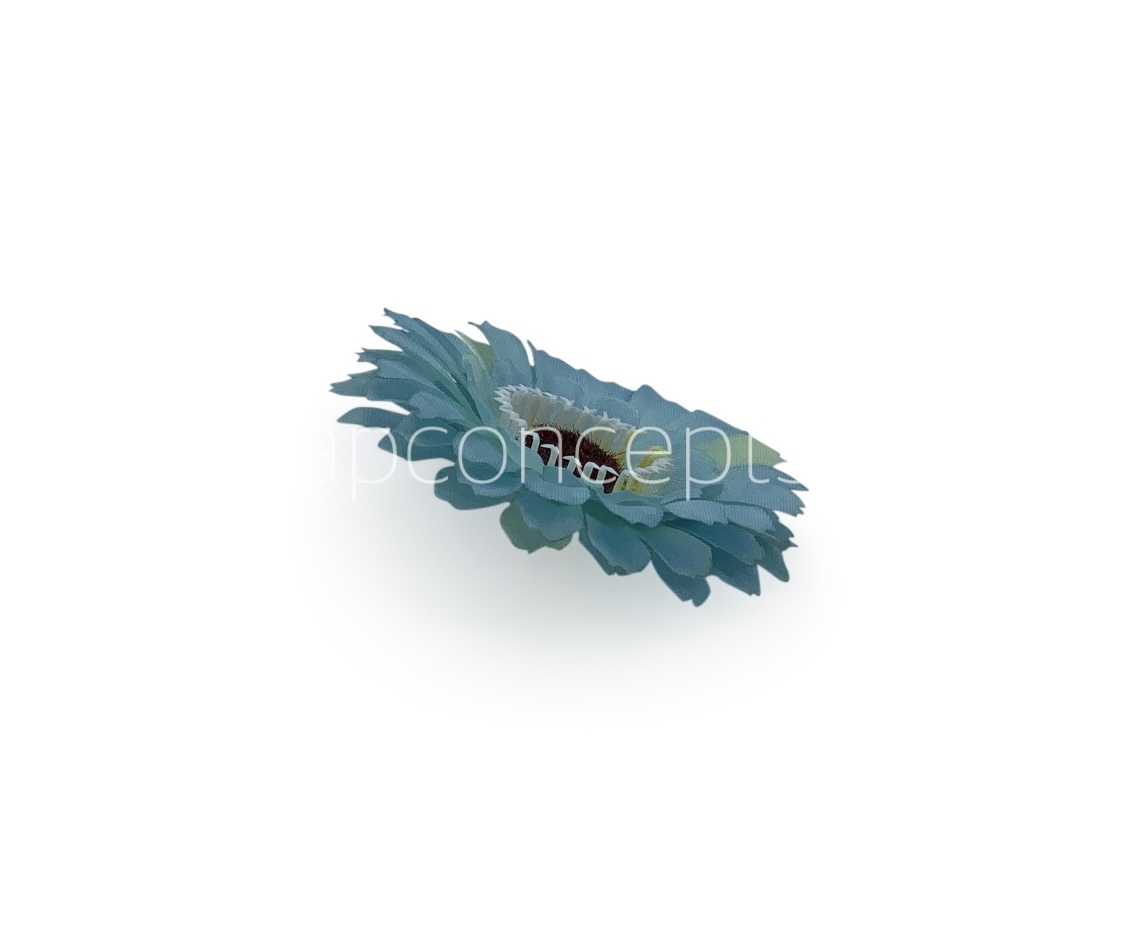 Cyan Gerberas