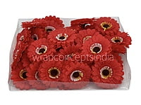 Red Gerberas