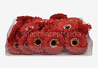 Red Gerberas