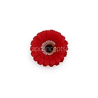 Red Gerberas