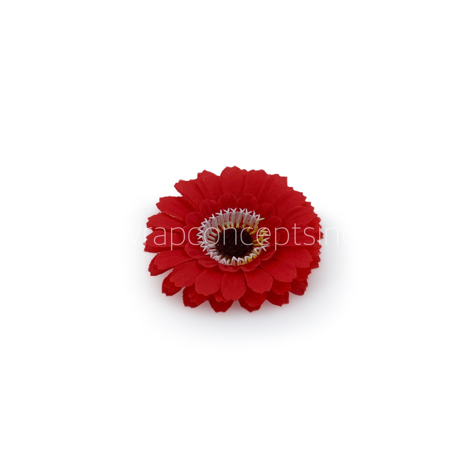 Red Gerberas