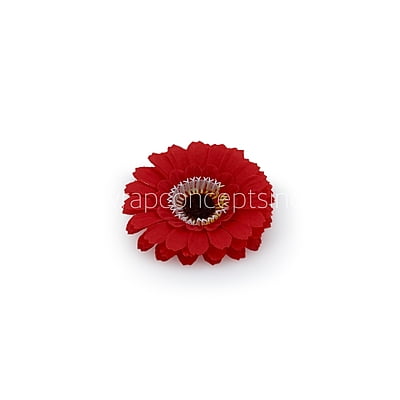 Red Gerberas