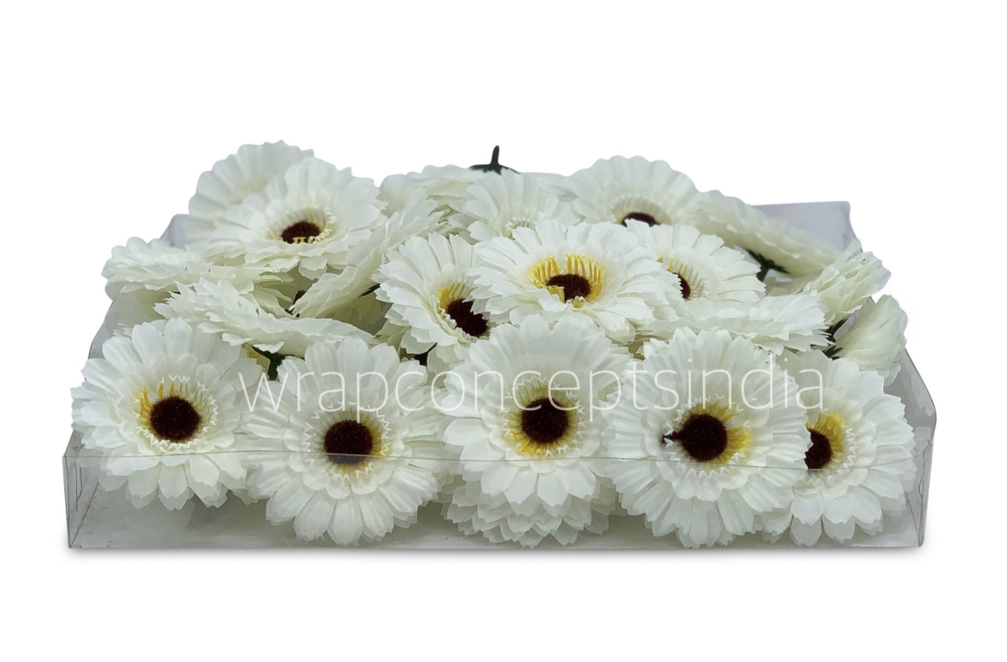White Gerberas