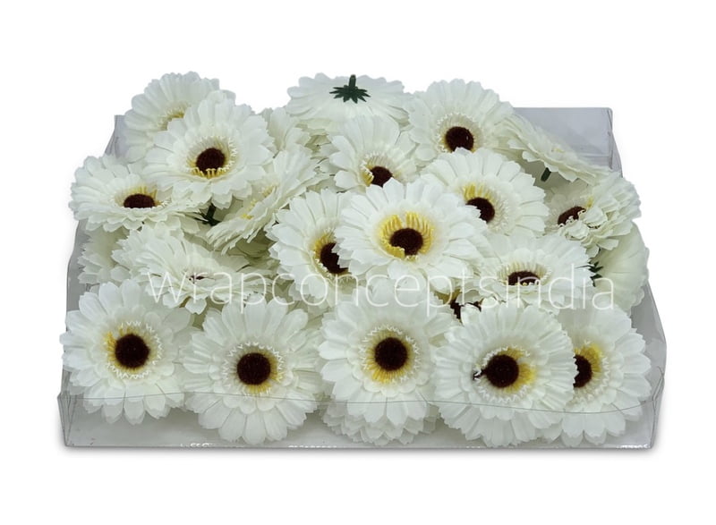 White Gerberas