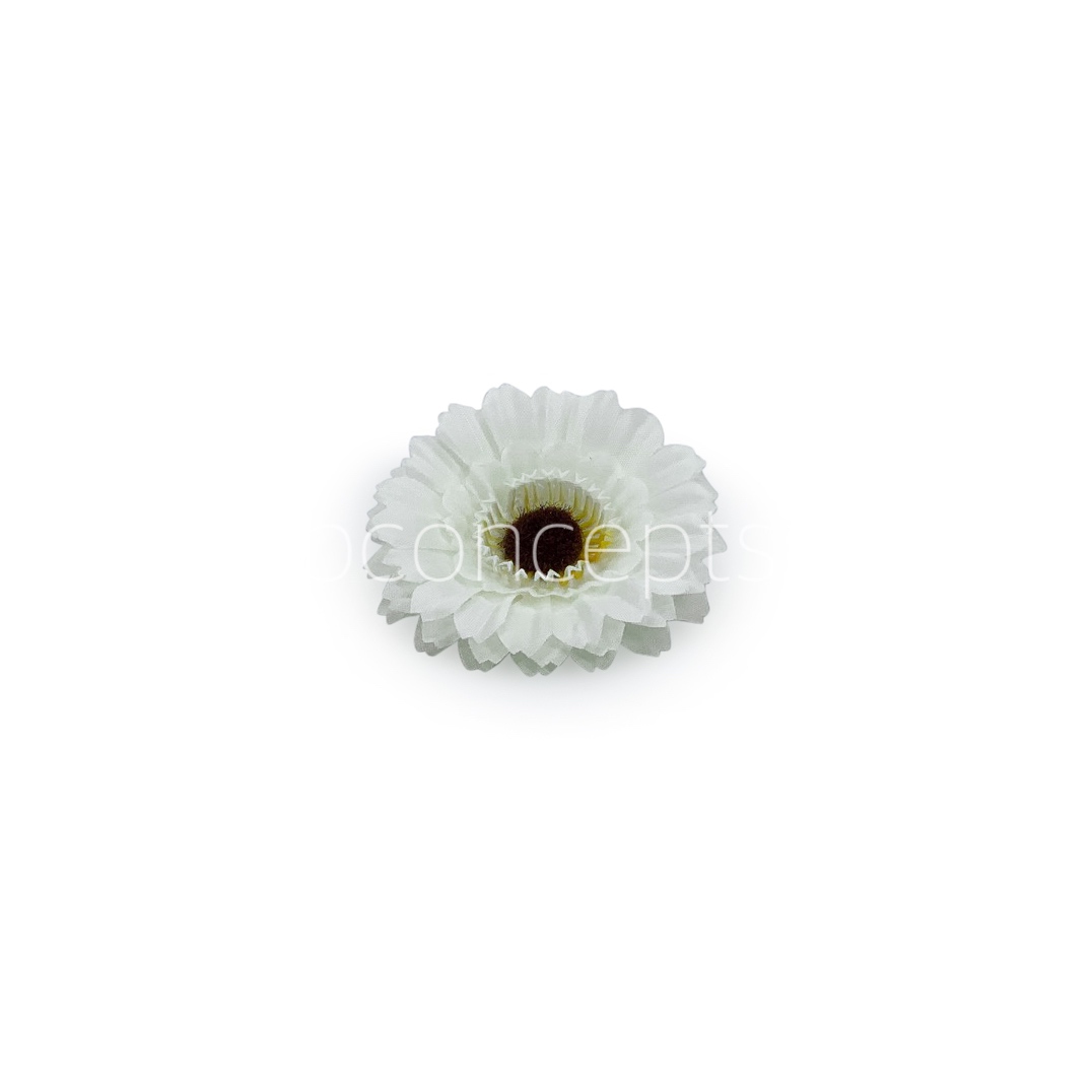 White Gerberas