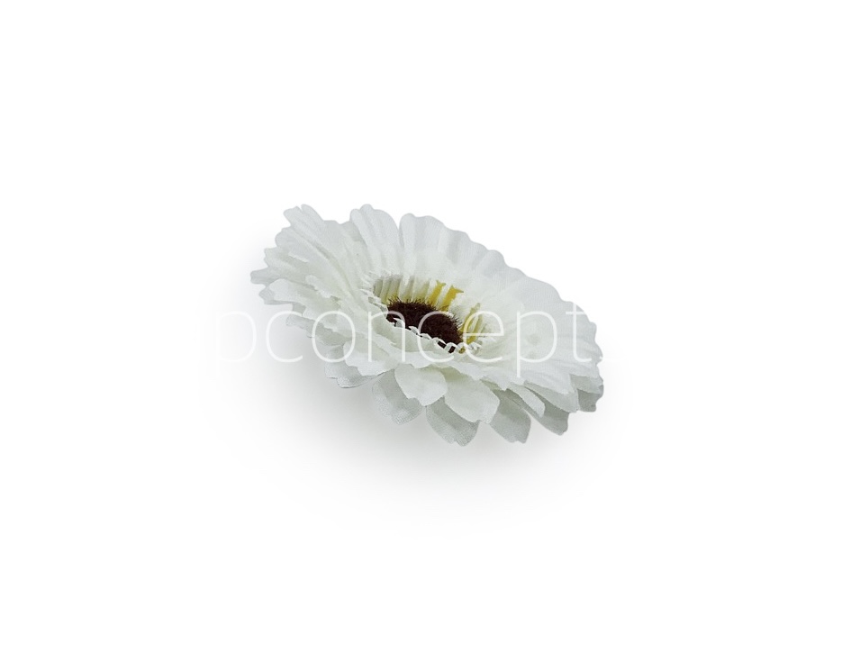 White Gerberas