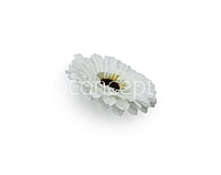 White Gerberas