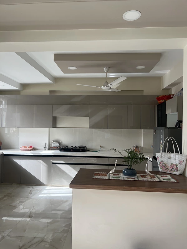 The Lioness' Gulmohar House C Scheme Jaipur