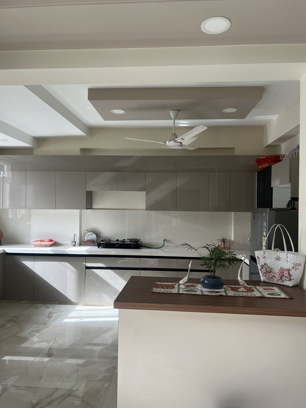 The Lioness' Gulmohar House C Scheme Jaipur