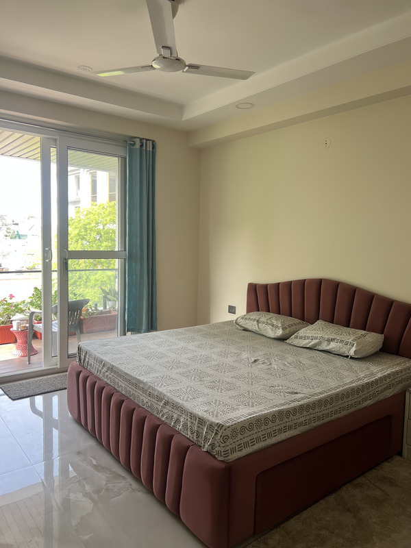 The Lioness' Gulmohar House C Scheme Jaipur