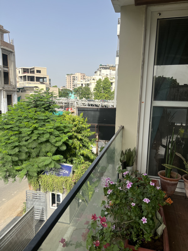 The Lioness' Gulmohar House C Scheme Jaipur