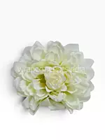 Burnt Ivory Chrysanthemum