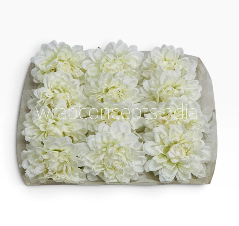 Burnt Ivory Chrysanthemum