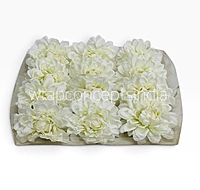 Burnt Ivory Chrysanthemum