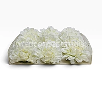 Burnt Ivory Chrysanthemum