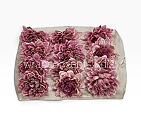 Burnt Blush Chrysanthemum