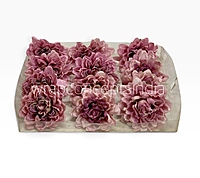 Burnt Blush Chrysanthemum