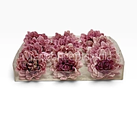 Burnt Blush Chrysanthemum