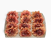 Burnt Ember Chrysanthemum