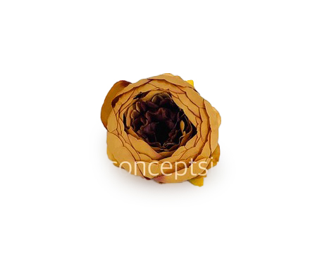 Peony - Tan