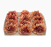 Burnt Ember Chrysanthemum