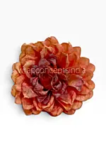 Burnt Ember Chrysanthemum